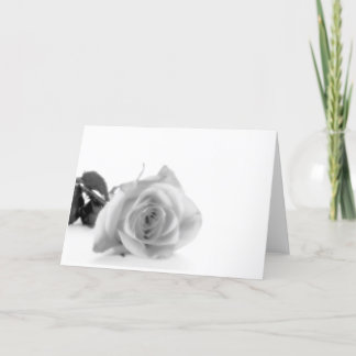 Softly Love Comes Holiday Card