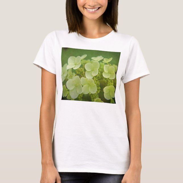 Softly T-Shirt (Front)