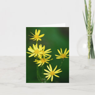 Softly Yellow Wildflowers Photography  Note Card