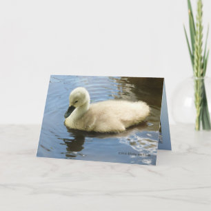 Softness of a Child Card