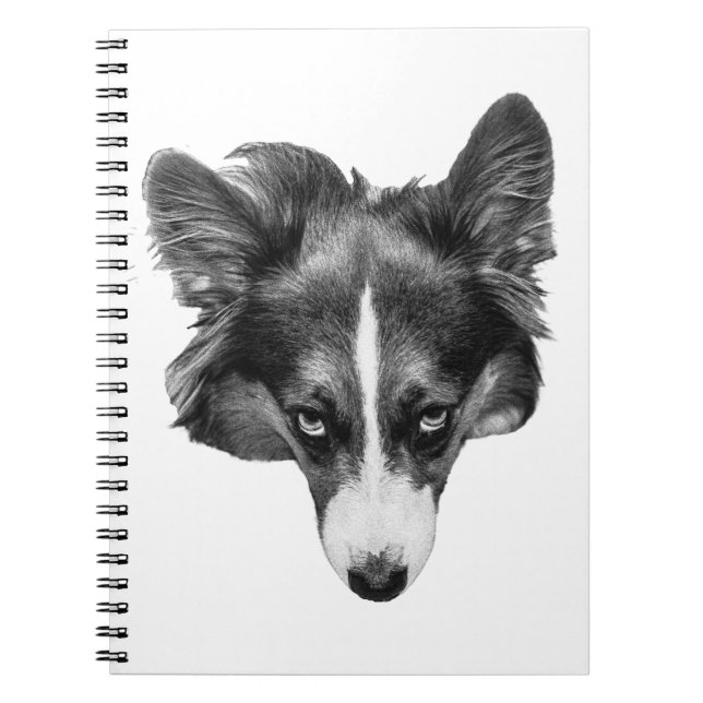softshade focus notebook (Front)