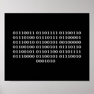 Software developer poster