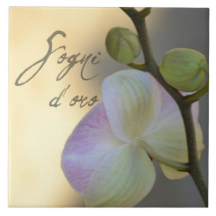 Sogni D'oro (sweet dreams) Orchid Tile