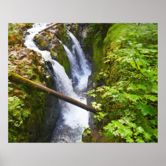 Sol Duc Falls I at Olympic National Park Poster