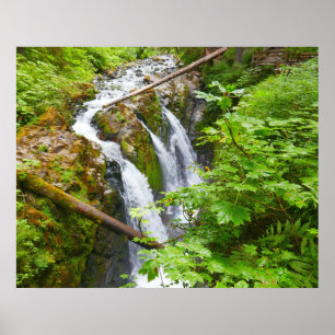 Sol Duc Falls II at Olympic National Park Poster