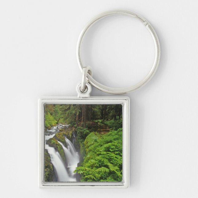 Sol Duc Falls in Olympic National Park in 2 Key Ring (Front)