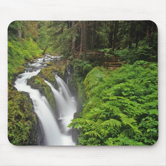 Sol Duc Falls in Olympic National Park in 2 Mouse Pad (Front)