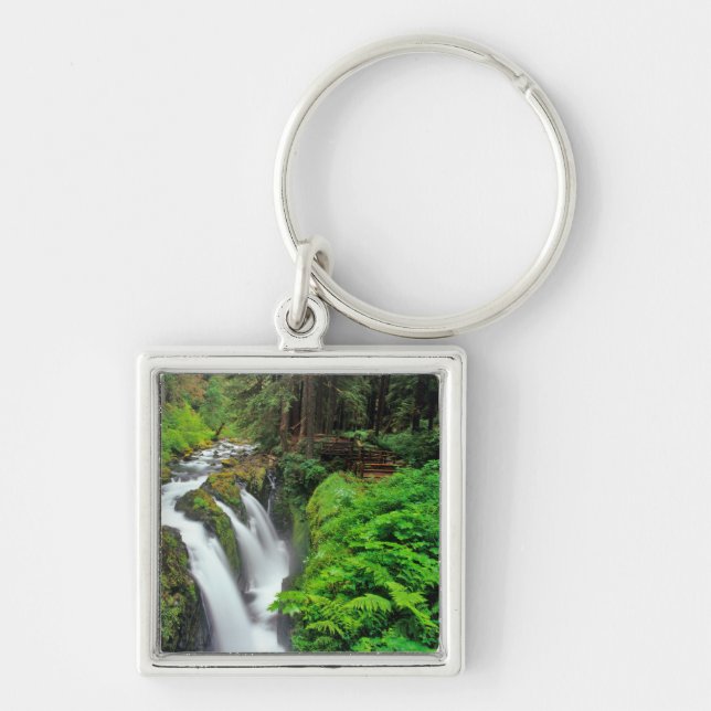 Sol Duc Falls in Olympic National Park in Key Ring (Front)