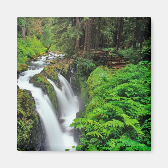 Sol Duc Falls in Olympic National Park in Magnet (Front)