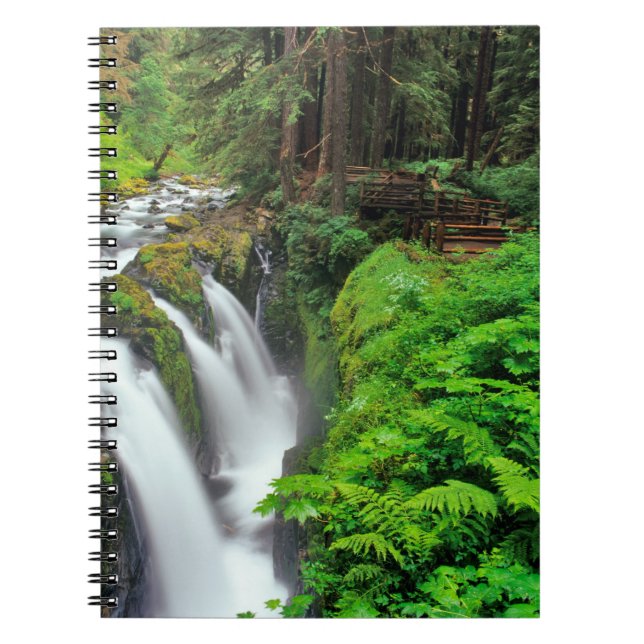 Sol Duc Falls in Olympic National Park in Notebook (Front)