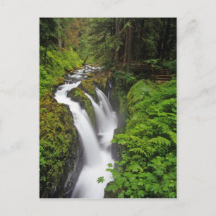 Sol Duc Falls in Olympic National Park in Postcard