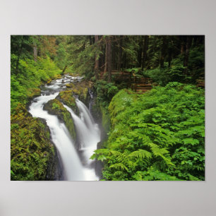 Sol Duc Falls in Olympic National Park in Poster