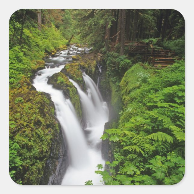 Sol Duc Falls in Olympic National Park in Square Sticker (Front)