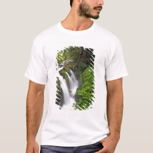 Sol Duc Falls in Olympic National Park in T-Shirt