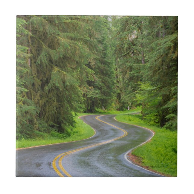 Sol Duc River Road through forest Tile (Front)