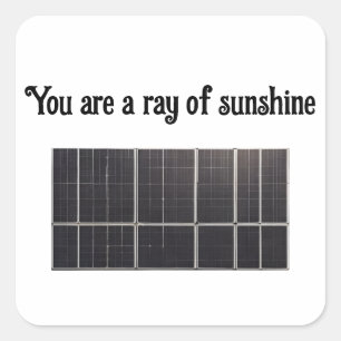 Sola Panel Square Sticker