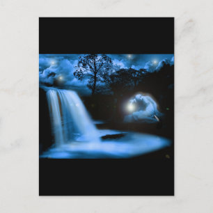 Solace in the Dark Postcard