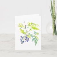 Solanum Potato Creeper Botanical art card