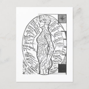 "Solar Chart: The Microcosm" Zodiac Astrology Postcard