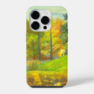 Solar fall iPhone 14 pro case