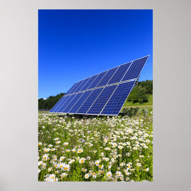 Solar Panels Green Meadow Sustainable Energy Poster (Front)