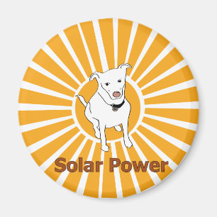 Solar power magnet