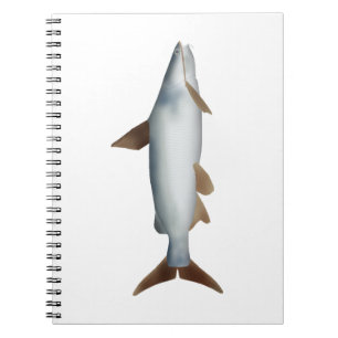 Soldier Catfish Notebook