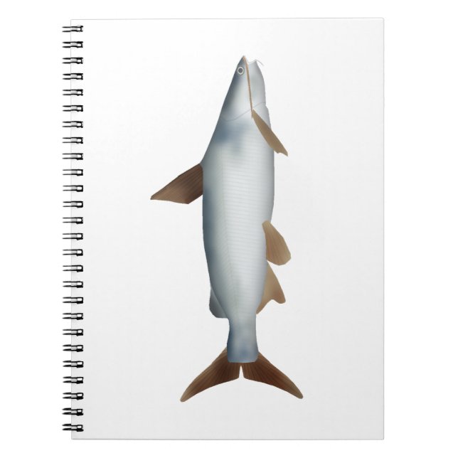 Soldier Catfish Notebook (Front)