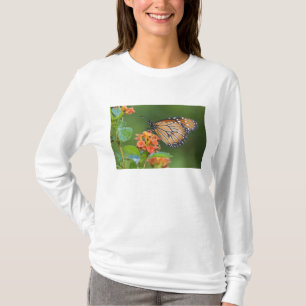 Soldier (Danaus eresimus) butterfly feeding T-Shirt