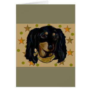 Soldier Doxie