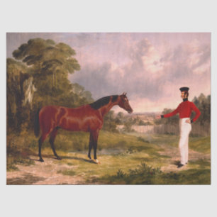 Soldier With an Officer's Horse Tissue Paper