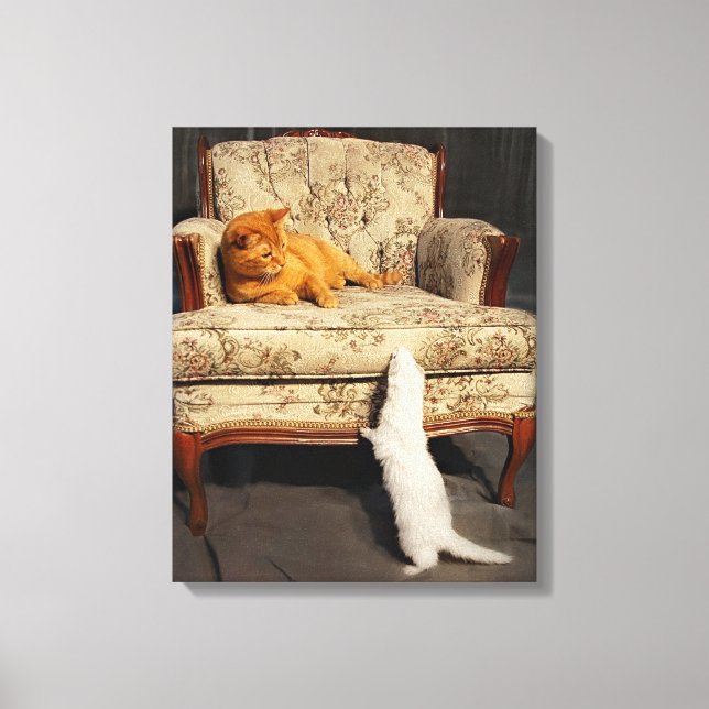 Soleil and the Ferret  - Stretched Canvas Print (Front)