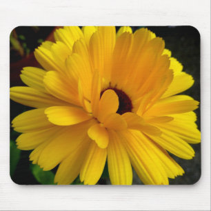 Soleil couchant! mouse pad