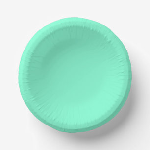 Solid Aquamarine Paper Plate