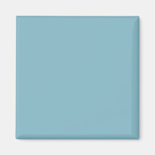 Solid Blue Pastel Tone Minimalist Professional Magnet