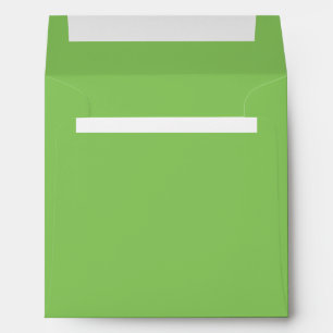 Solid color plain apple orchard pastel green envelope