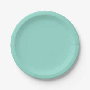 Solid colour Beach Glass plain aqua green mint  Paper Plate
