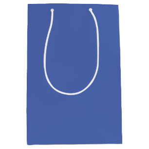 Solid colour dusty blue cornflower medium gift bag