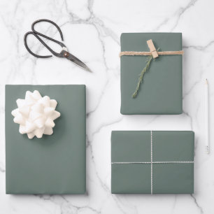 Solid Colour Minimalist Dusty Grey Sage Green  Wrapping Paper Sheet