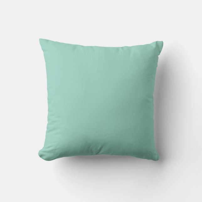 Solid Colour Mint Cushion (Front)