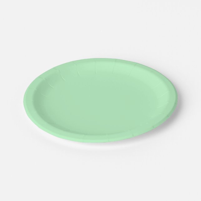 Solid Colour: Mint Paper Plate (Angled)