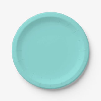 Solid colour misty teal turquoise paper plate