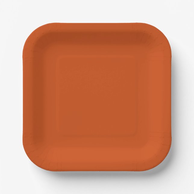 Solid colour plain rusty burnt orange paper plate (Front)