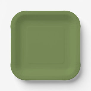 Solid colour plain thyme sage green  paper plate