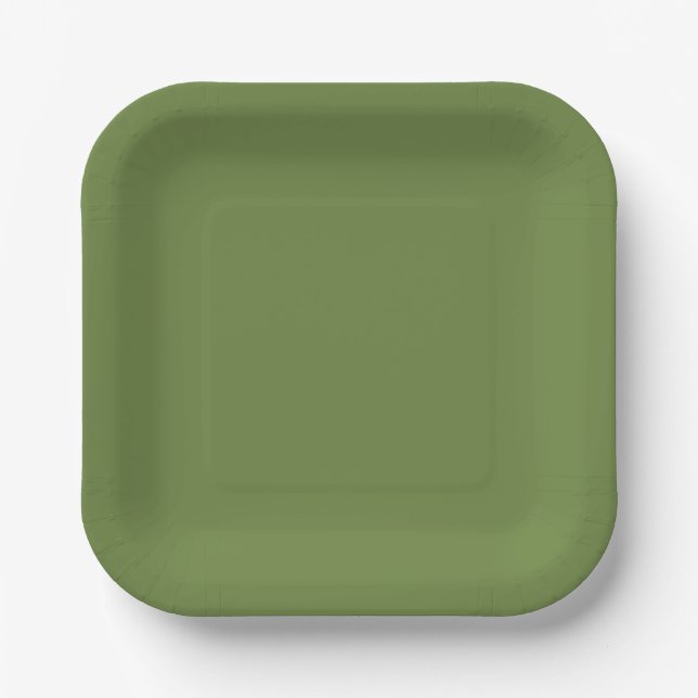 Solid colour plain thyme sage green  paper plate (Front)
