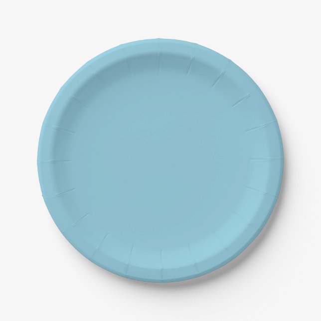 Solid colour plain Winter light Blue Paper Plate (Front)