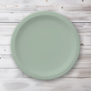 Solid colour Sage Mist light green Paper Plate