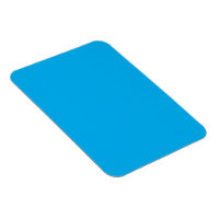 Solid Cyan Blue Background | Summer Minimal Style