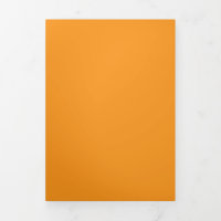 Solid Golden Orange Background | Warm Rich Design