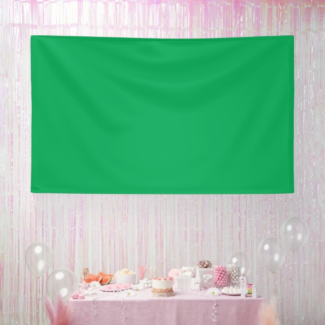 Solid Green Background  Banner (Party)